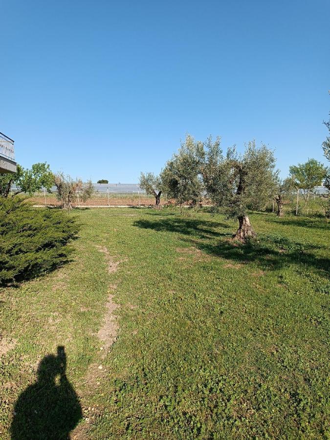 Villa The Secret Olive House à Nea Michaniona Extérieur photo