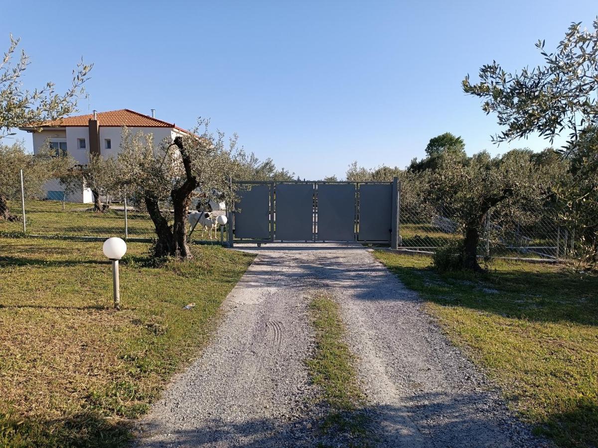 Villa The Secret Olive House à Nea Michaniona Extérieur photo