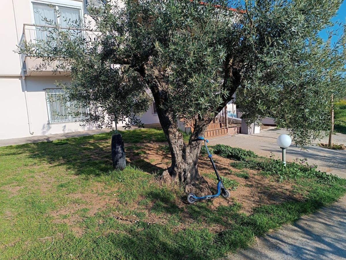 Villa The Secret Olive House à Nea Michaniona Extérieur photo