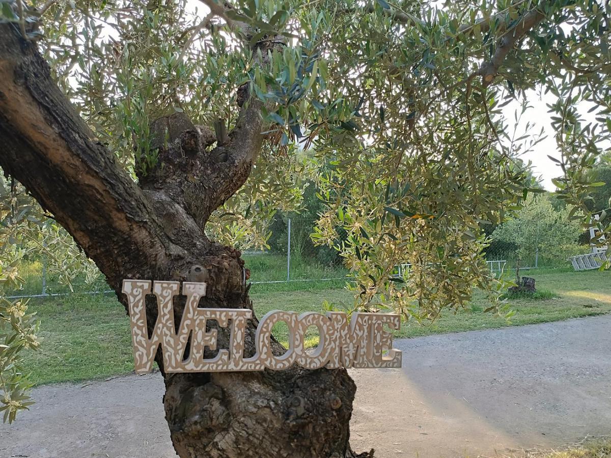Villa The Secret Olive House à Nea Michaniona Extérieur photo